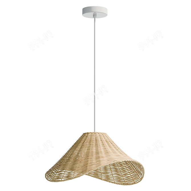 Handcrafted Rattan Pendant Light 3D model image 2