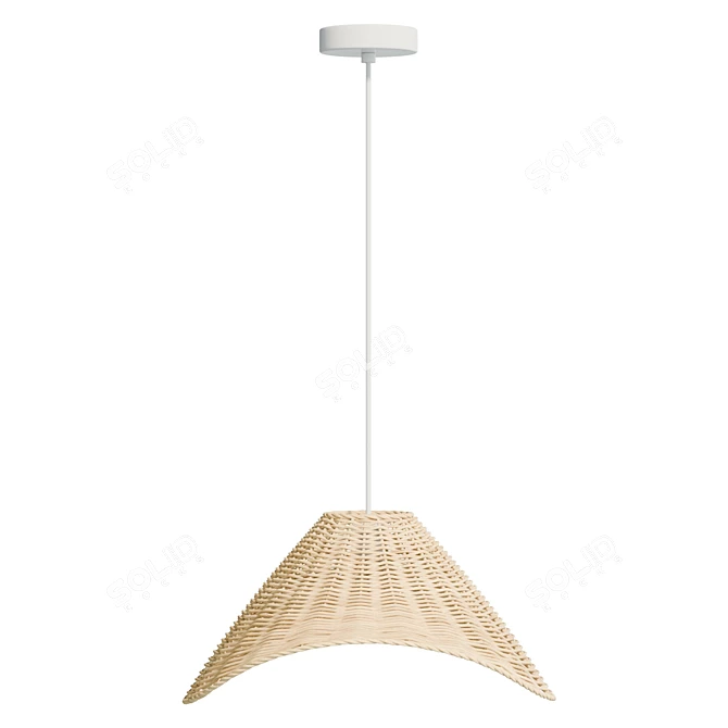 Handcrafted Rattan Pendant Light 3D model image 3