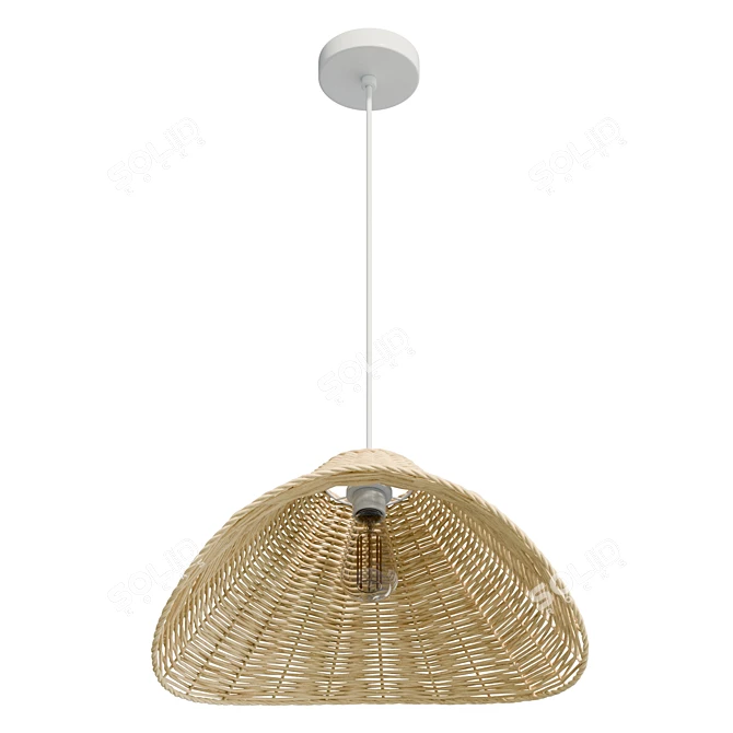 Handcrafted Rattan Pendant Light 3D model image 4