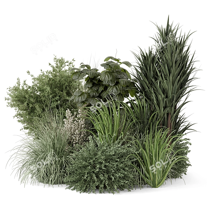 Premium Outdoor Plants Bush Set 3D model image 7