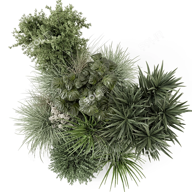 Premium Outdoor Plants Bush Set 3D model image 1