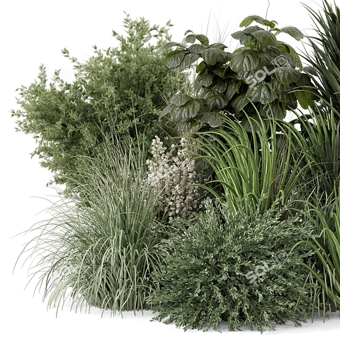 Premium Outdoor Plants Bush Set 3D model image 2