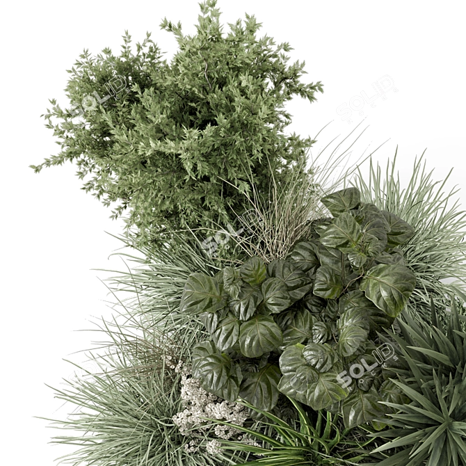 Premium Outdoor Plants Bush Set 3D model image 4