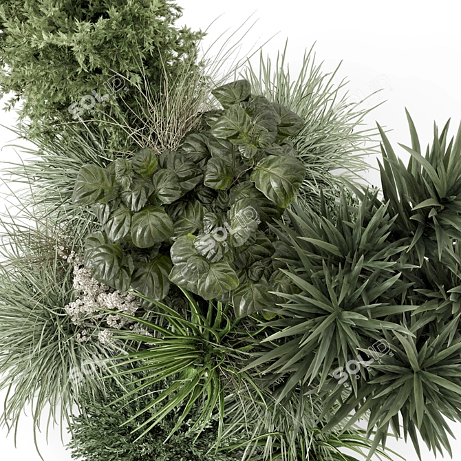 Premium Outdoor Plants Bush Set 3D model image 5