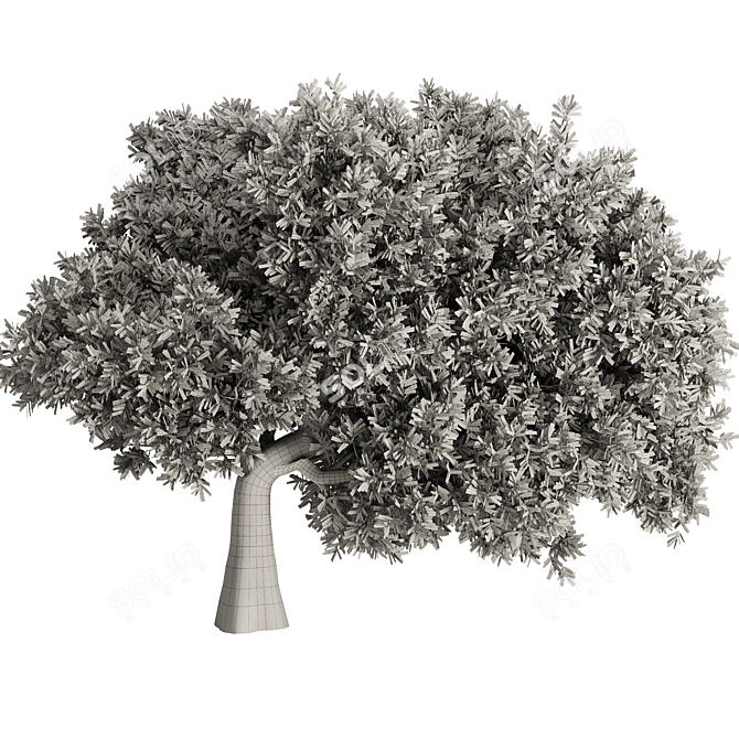 Elegant Olive Tree Set 16 3D model image 4