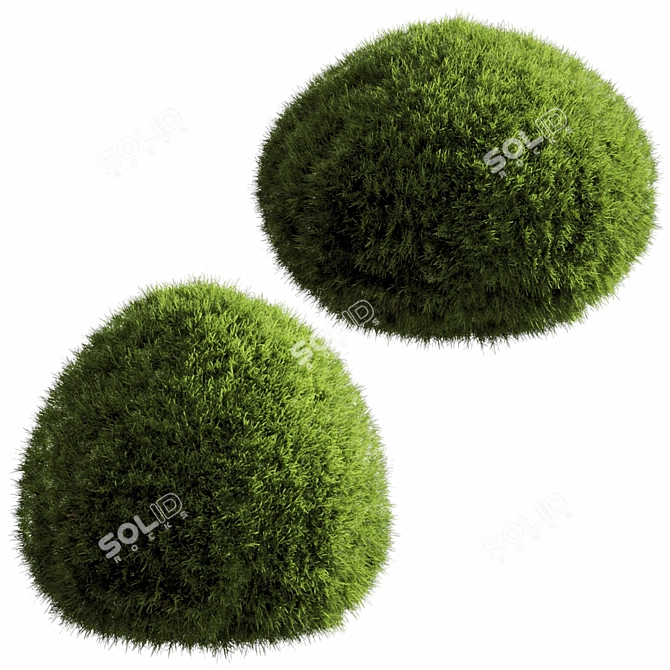 Russian Bush Grass 052 Render 3D model image 1