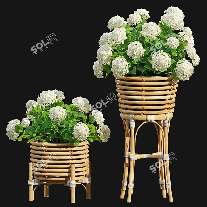 Hydrangea Planter Trio Set 3D model image 2