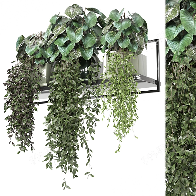 Metal Shelf with Hanging Plants 3D model image 1