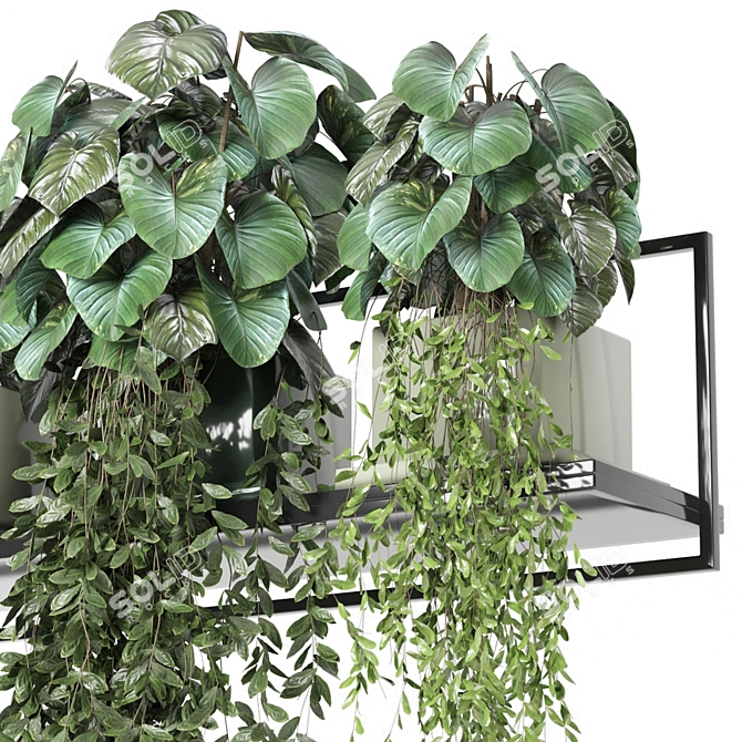 Metal Shelf with Hanging Plants 3D model image 3