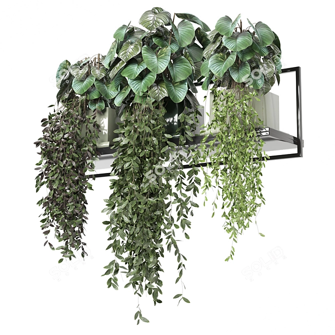 Metal Shelf with Hanging Plants 3D model image 5