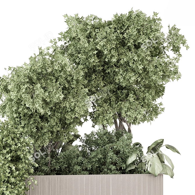 Outdoor Concrete Pots with Plants 3D model image 2