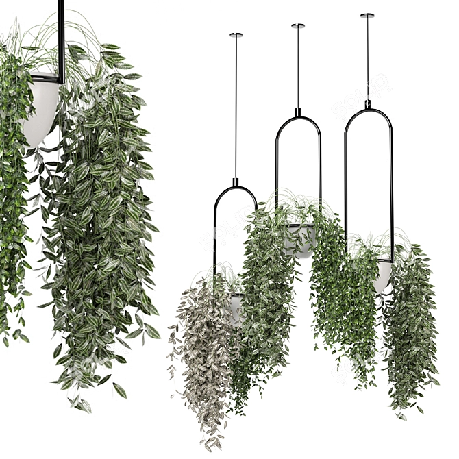 Metal Box Hanging Plant Set 3D model image 1