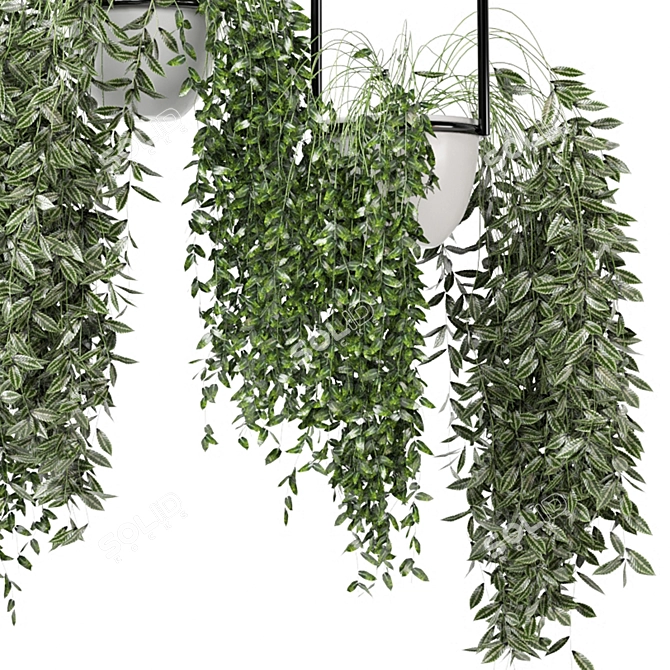 Metal Box Hanging Plant Set 3D model image 3