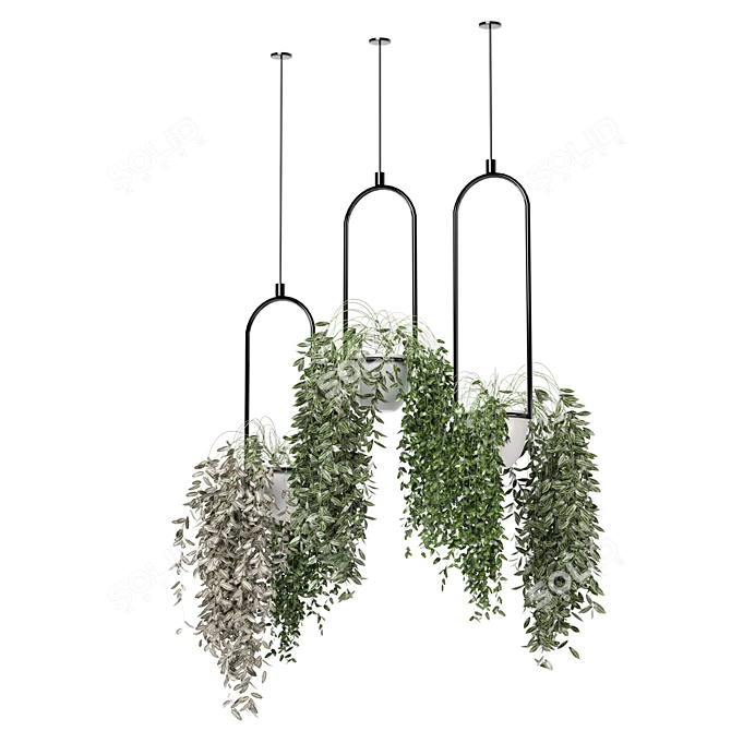 Metal Box Hanging Plant Set 3D model image 4