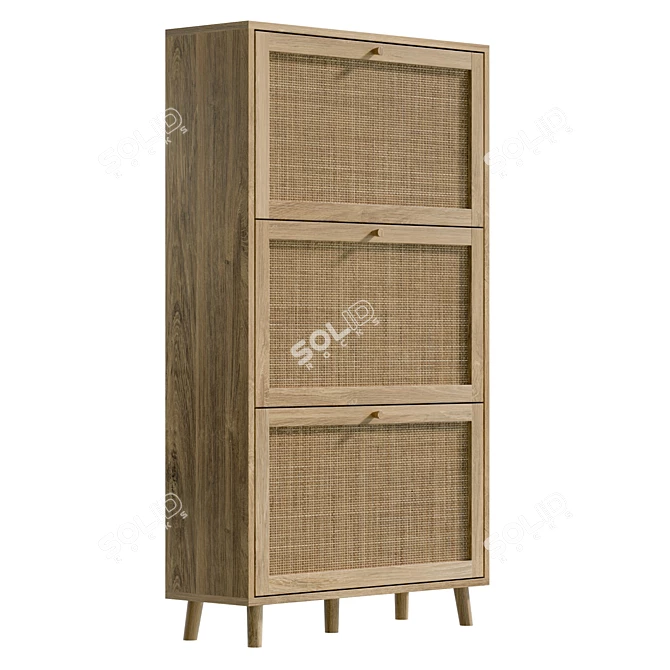 Bohemian Cane Shoe Cabinet Organizer 3D model image 4