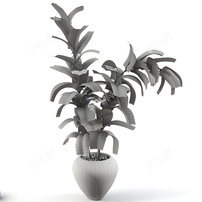 Title: Sleek Rubber Tree Plant 3D model image 2