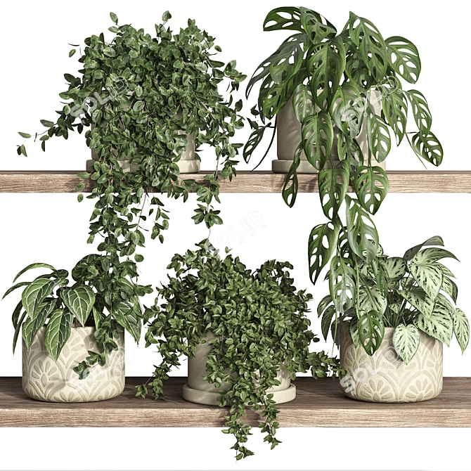 Modern Plant Shelf Display Stand 3D model image 1