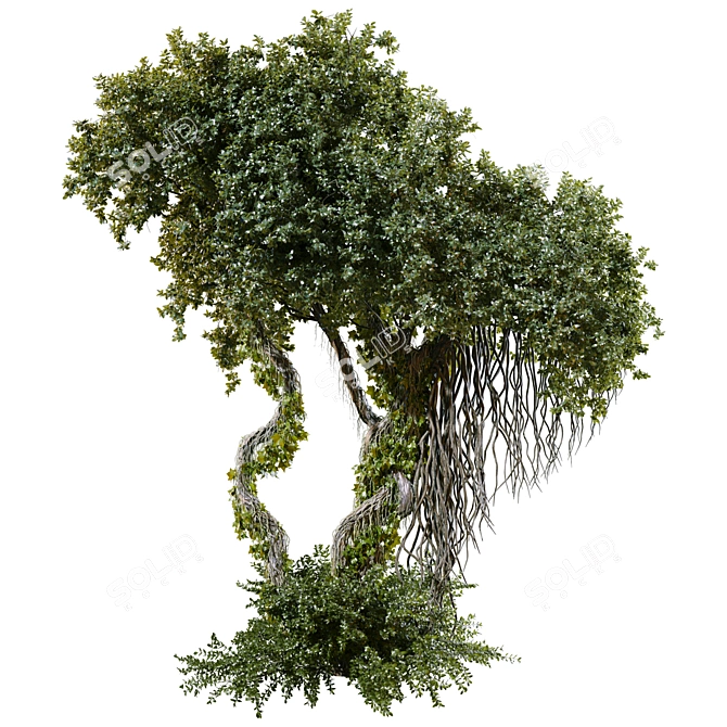 Jungle Tree Plant Separated Parts 3D model image 1