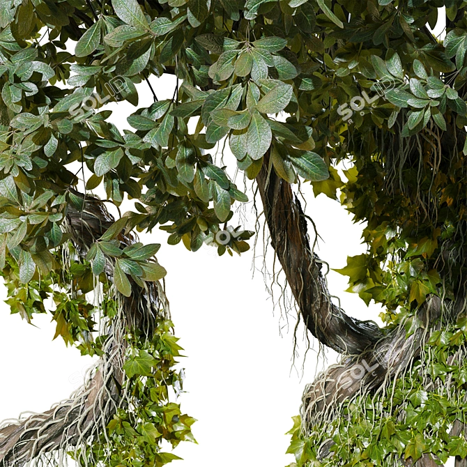 Jungle Tree Plant Separated Parts 3D model image 2