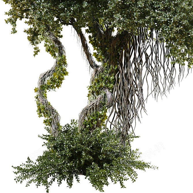 Jungle Tree Plant Separated Parts 3D model image 3