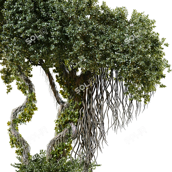 Jungle Tree Plant Separated Parts 3D model image 5