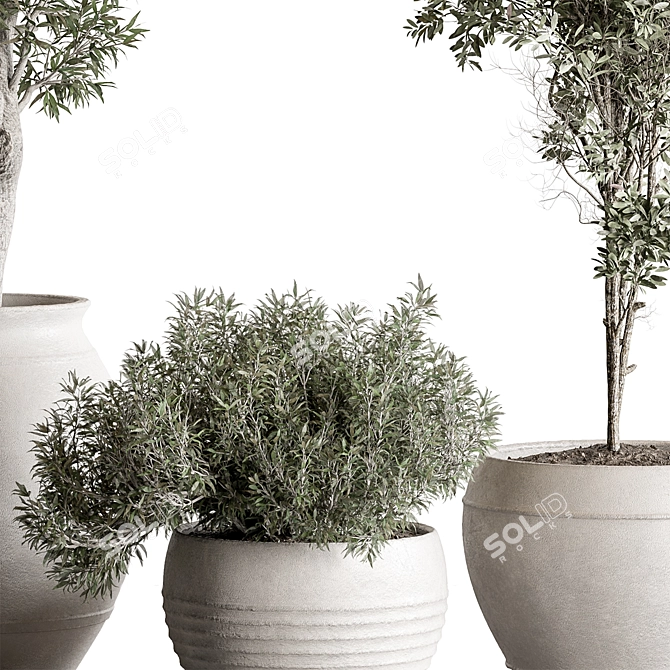 Leafy Green Tree in Pot 3D model image 3