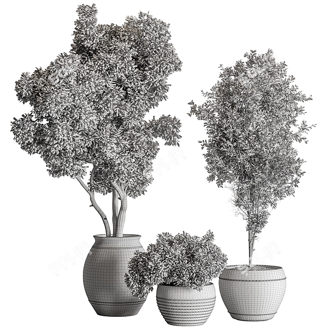 Leafy Green Tree in Pot 3D model image 4