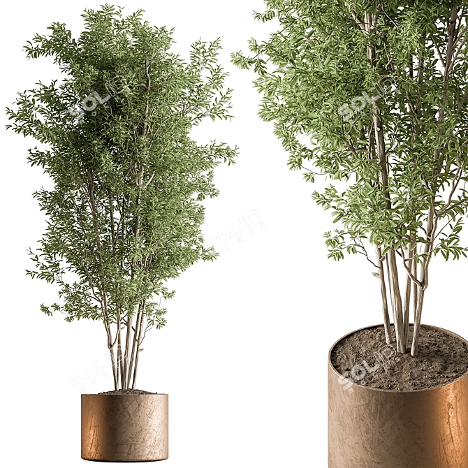 Evergreen Tree in Planter 739 3D model image 1