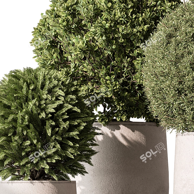 Garden Topiary Ball Decoration 3D model image 2