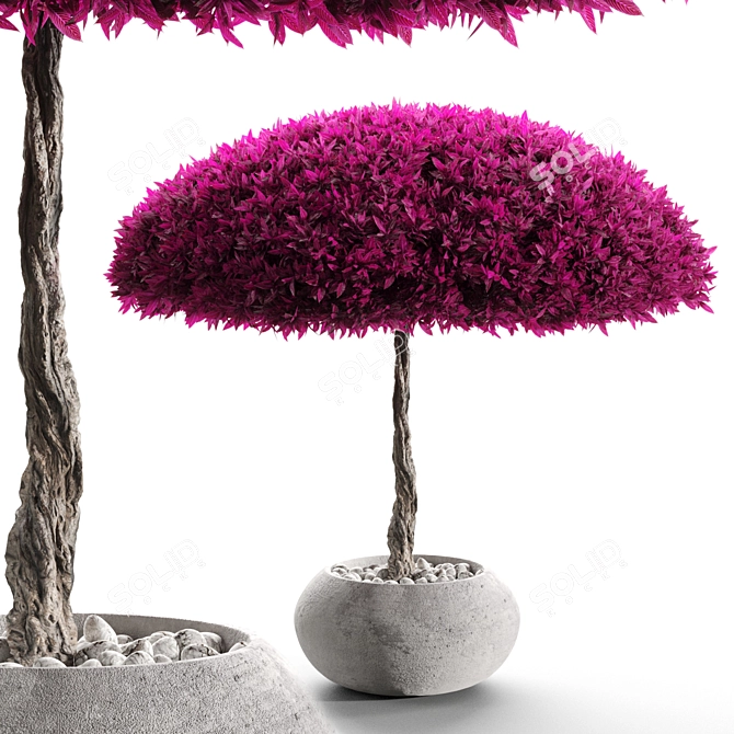 Elegant Branches in Vases 3D model image 2