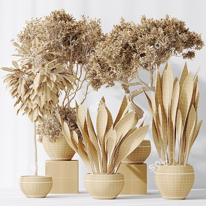 Luxury Indoor Plant Set - 3D Models 3D model image 6