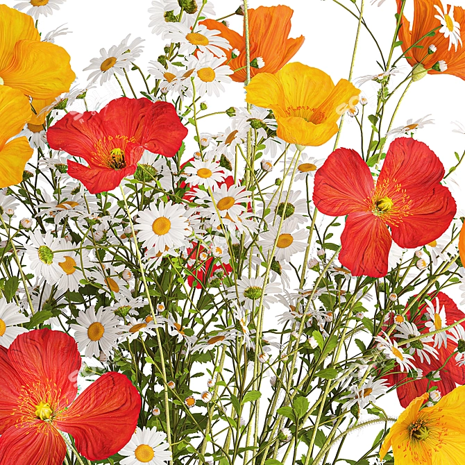 Summer Field Flowers Bouquet 3D model image 3