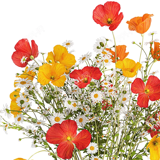 Summer Field Flowers Bouquet 3D model image 5