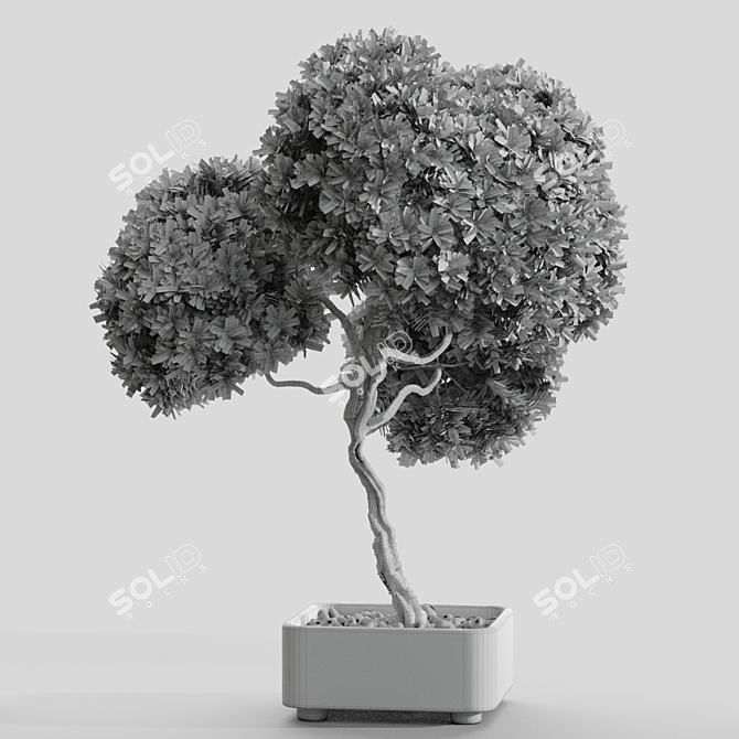 Artistic Branches in Vases Display 3D model image 3