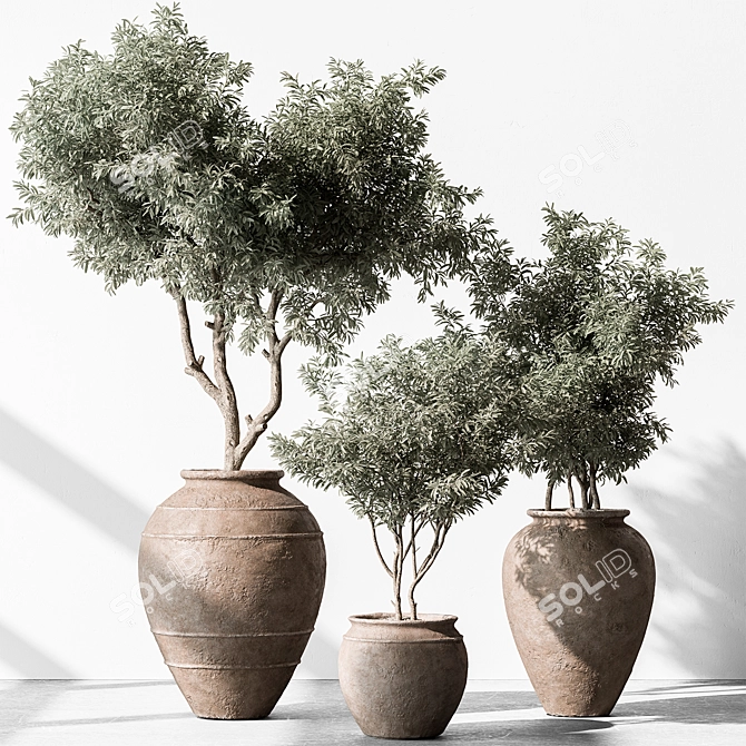 741 Tree in Pot - Indoor Plant 3D model image 1