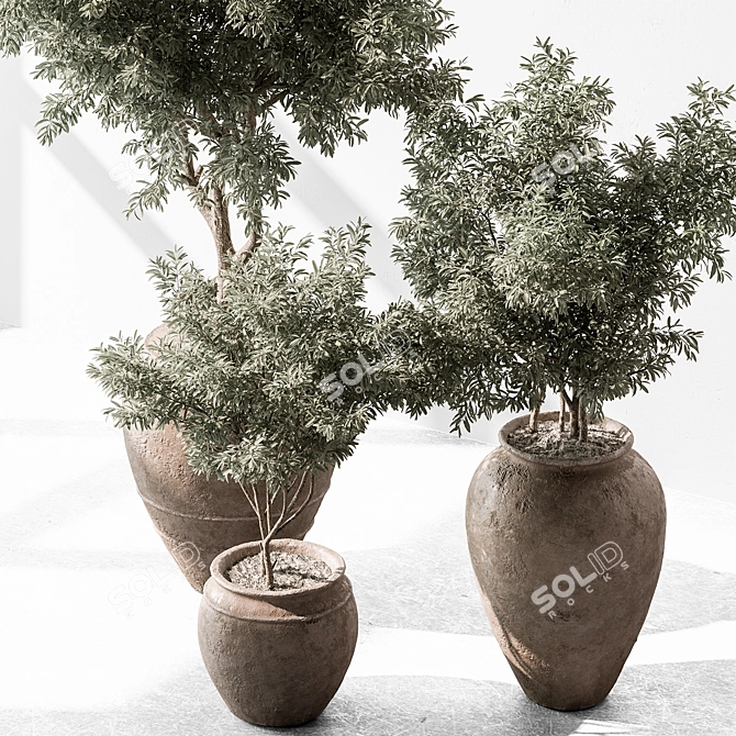 741 Tree in Pot - Indoor Plant 3D model image 2