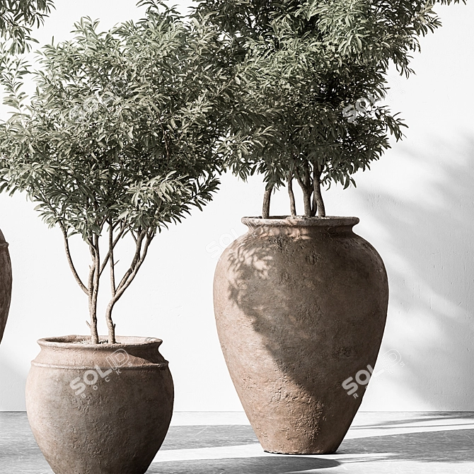 741 Tree in Pot - Indoor Plant 3D model image 4