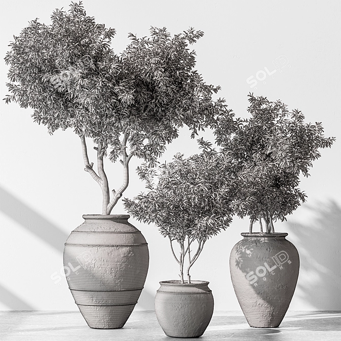 741 Tree in Pot - Indoor Plant 3D model image 6