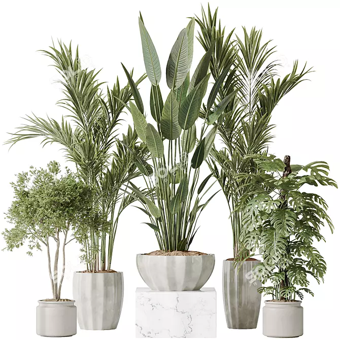 Multifoliage Indoor Plant Set 3D model image 1