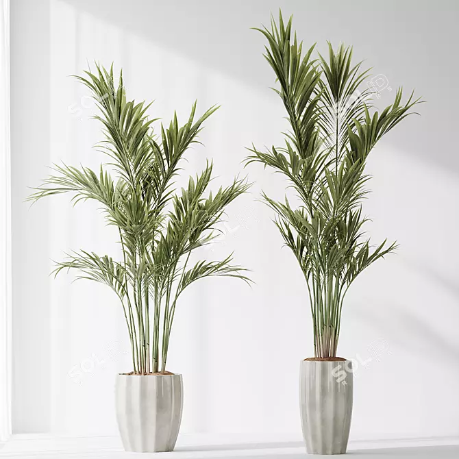 Multifoliage Indoor Plant Set 3D model image 3