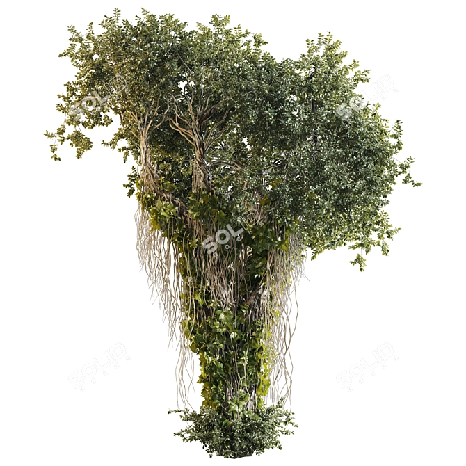 High Quality Jungle Tree Kit 3D model image 2