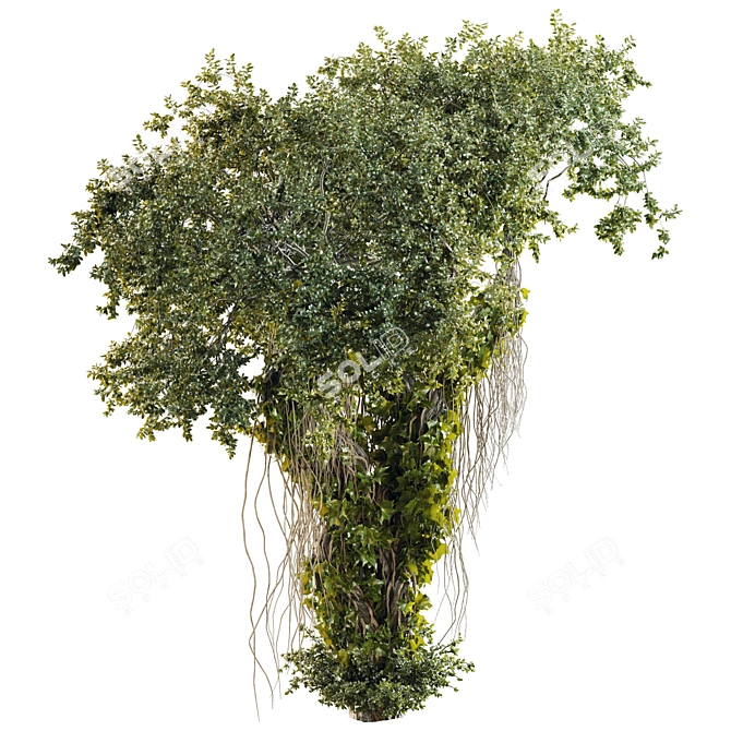 High Quality Jungle Tree Kit 3D model image 3