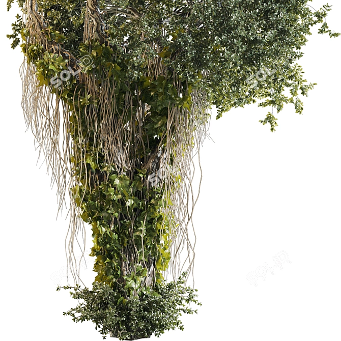 High Quality Jungle Tree Kit 3D model image 4