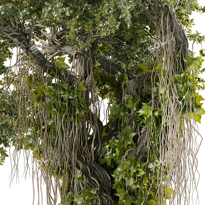 High Quality Jungle Tree Kit 3D model image 7