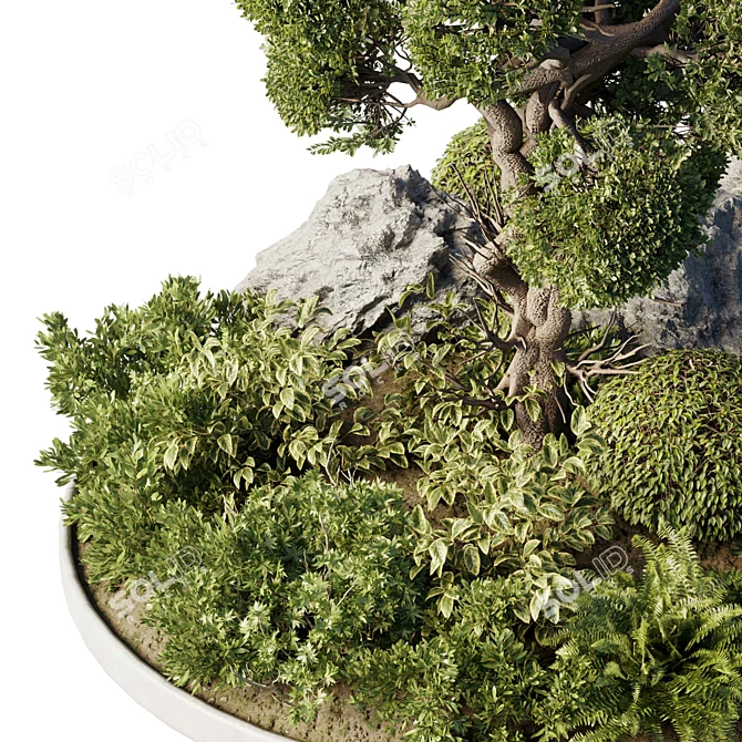 Gorgeous Circle Outdoor Plants 3D model image 2