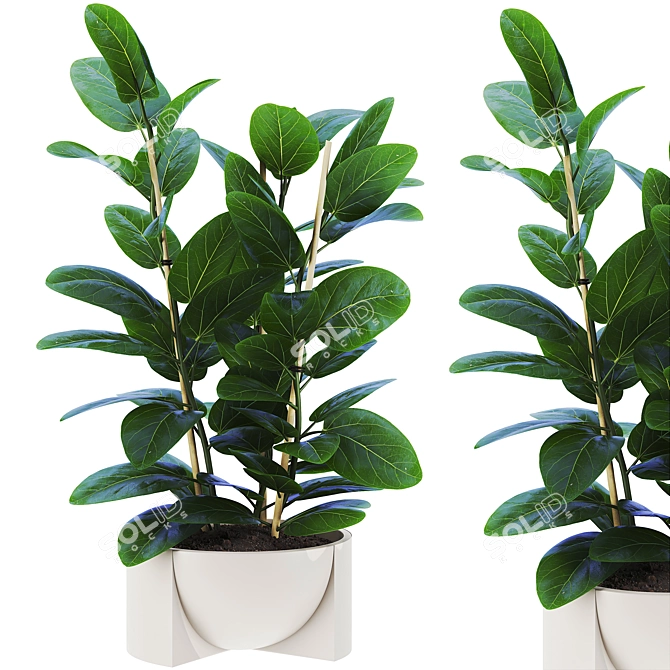 Botanical Collection Set 76 3D model image 1