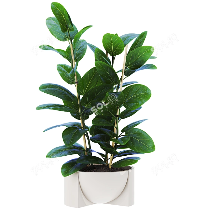 Botanical Collection Set 76 3D model image 2