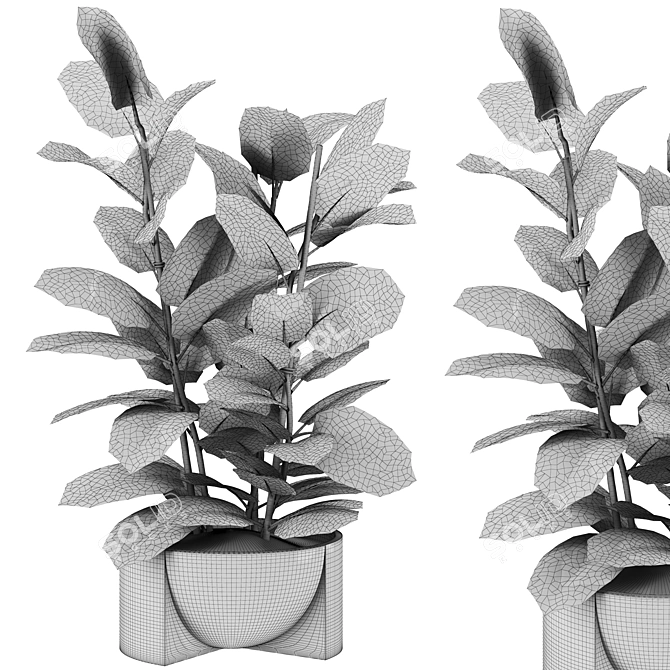 Botanical Collection Set 76 3D model image 3