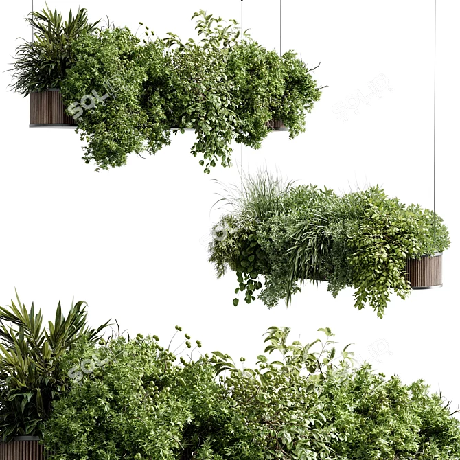 Greenery Charm - Corona Hanging Plant 3D model image 1