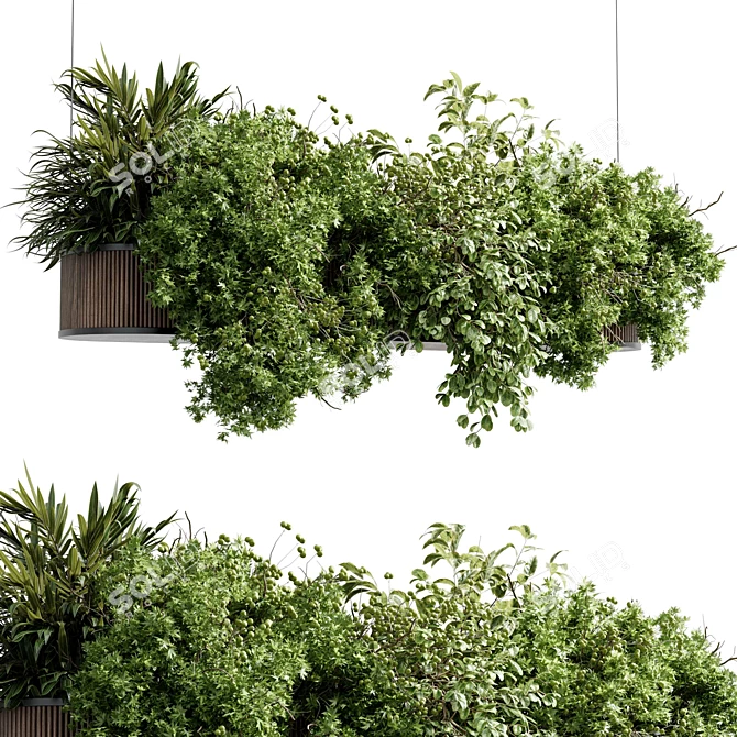 Greenery Charm - Corona Hanging Plant 3D model image 3